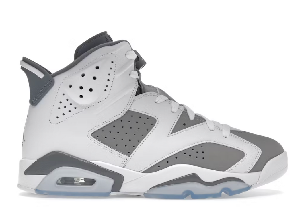 Jordan 6 Retro Gris Froid