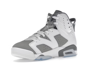 Jordan 6 Retro Gris Froid