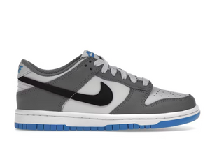 Nike Dunk Low Gris Froid Bleu Photo Clair