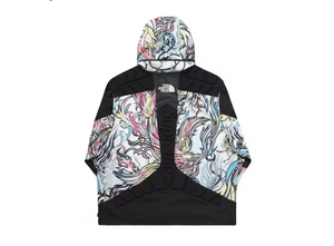 Supreme The North Face Steep Tech Apogee Jacket (FW22) Multicolor Dragon