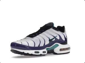 Nike Air Max Plus Blanc Raisin Glacé