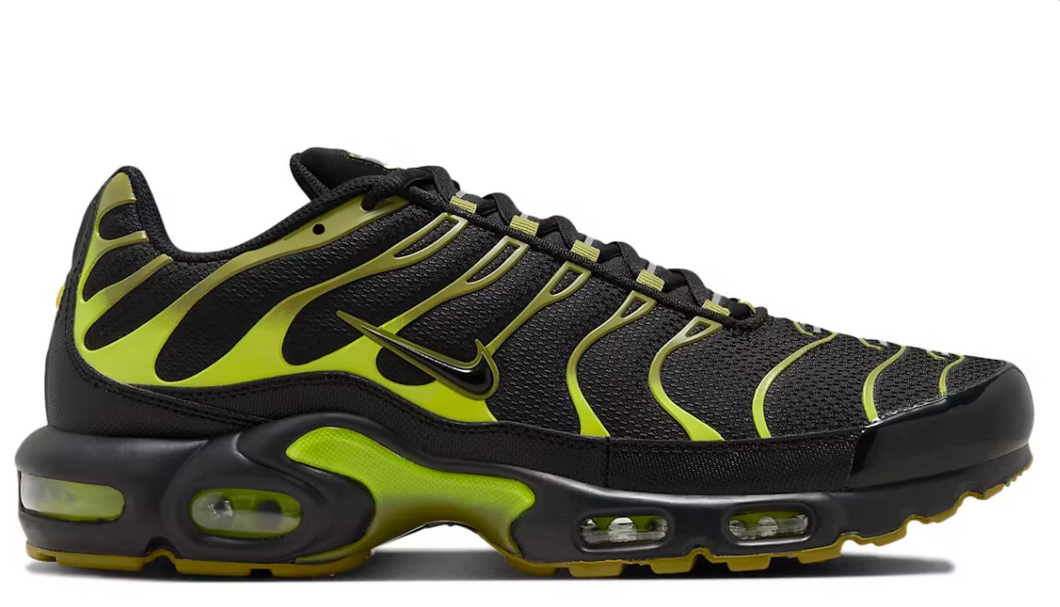 Nike Air Max Plus Mousse du Pacifique