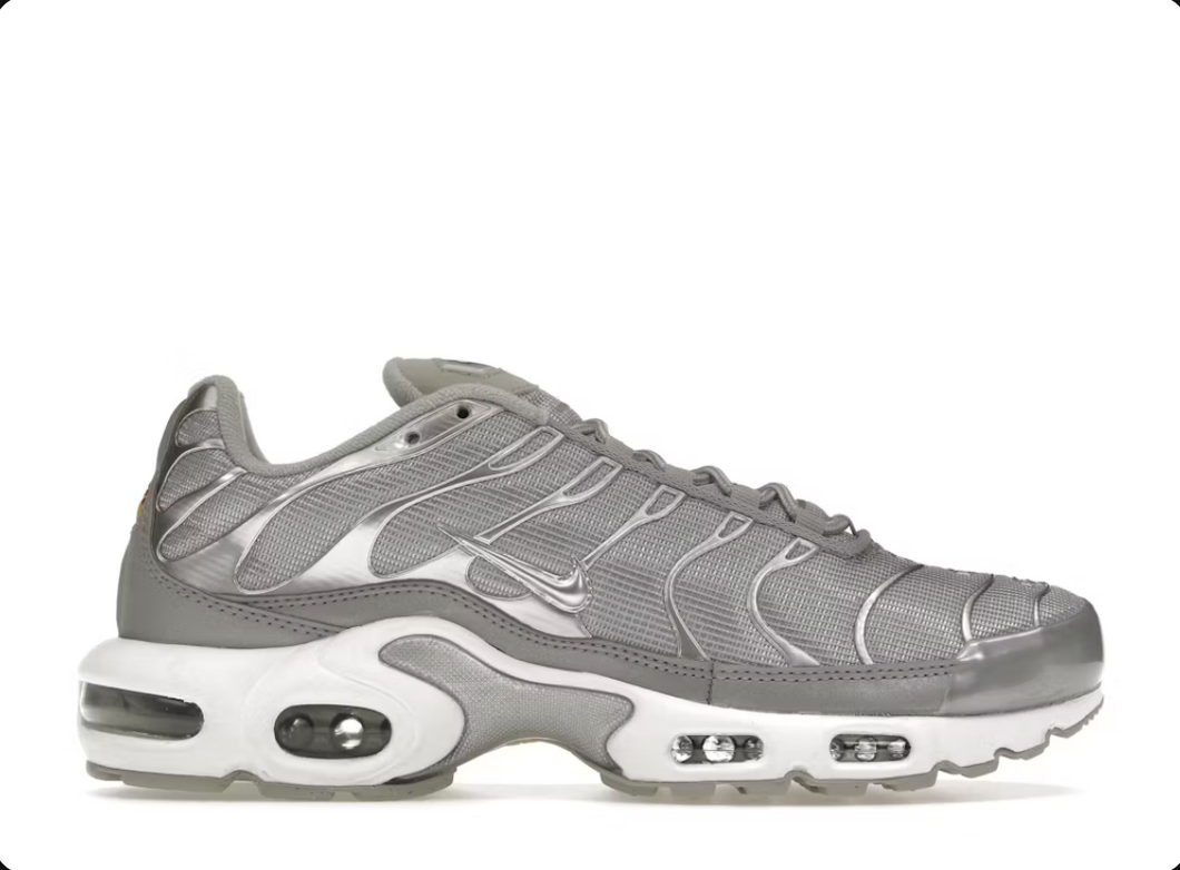 Nike Air Max Plus Argent Métallique