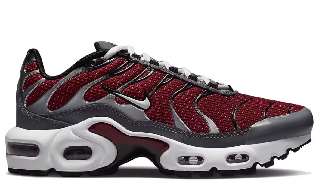 Nike Air Max Plus Team Rouge Gris Froid