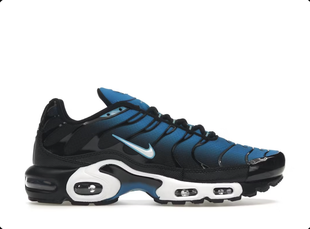 Nike Air Max Plus Aquarius Bleu