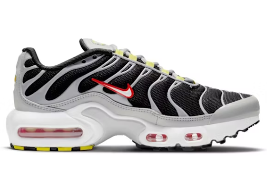 Nike Air Max Plus Gris Fumé Foncé (GS)