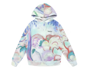 Sweat à capuche Supreme Landscape multicolore