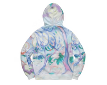 Load image into Gallery viewer, Supreme Landscape Hooded Sweatshirt Multicolor
