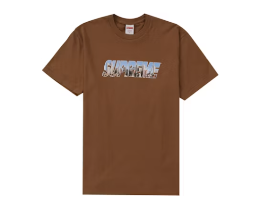 T-shirt Supreme Gotham marron clair