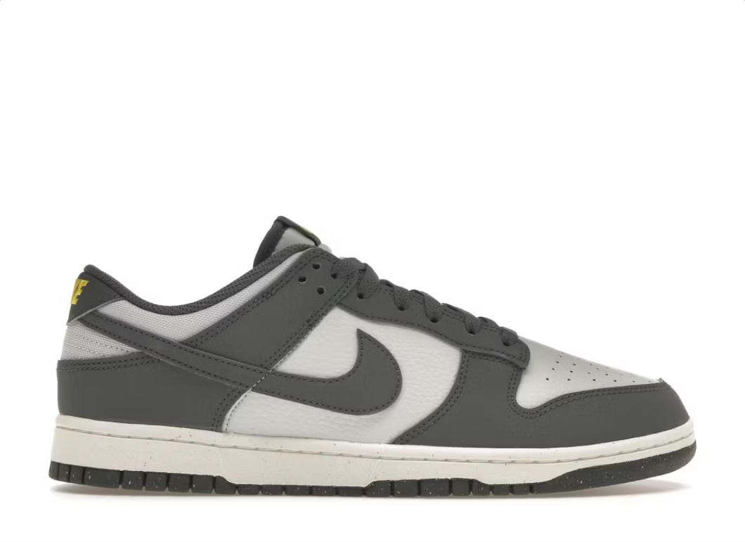 Nike Dunk Low Next Nature Gris Fer Éclair