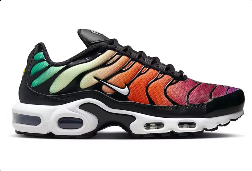 Nike Air Max Plus Arc-en-ciel